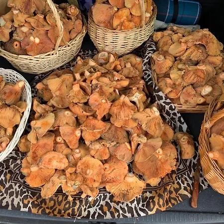 בית נופש La Traviesa De La Demanda Cabezon de la Sierra