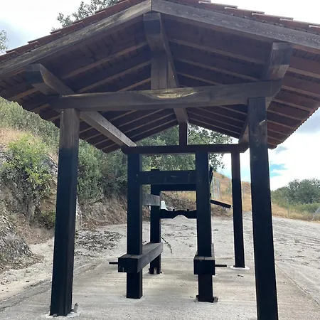 La Traviesa De La Demanda *