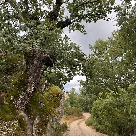 La Traviesa De La Demanda Holiday home *