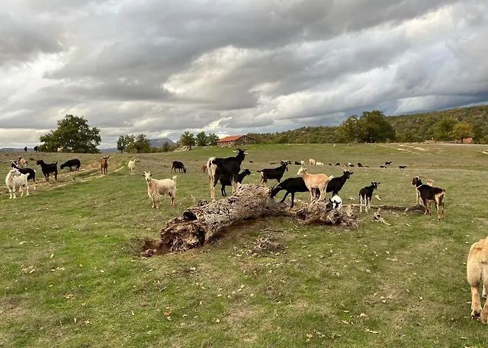 La Traviesa De La Demanda 펜션 *