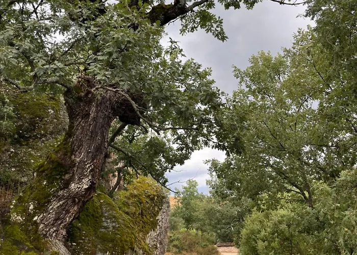 La Traviesa De La Demanda 펜션 *